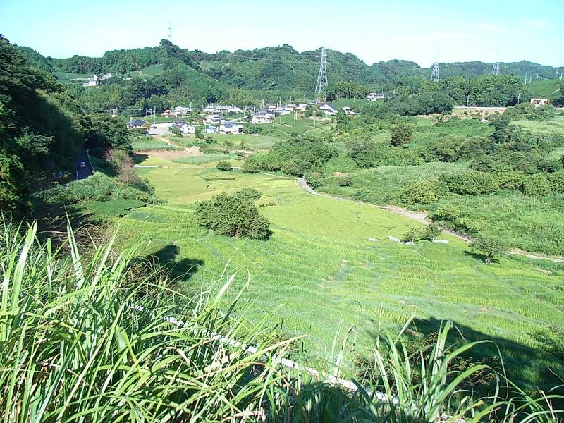 棚田畦畔と茶草場