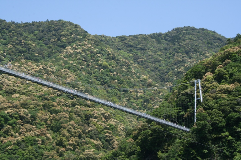 綾の照葉樹林