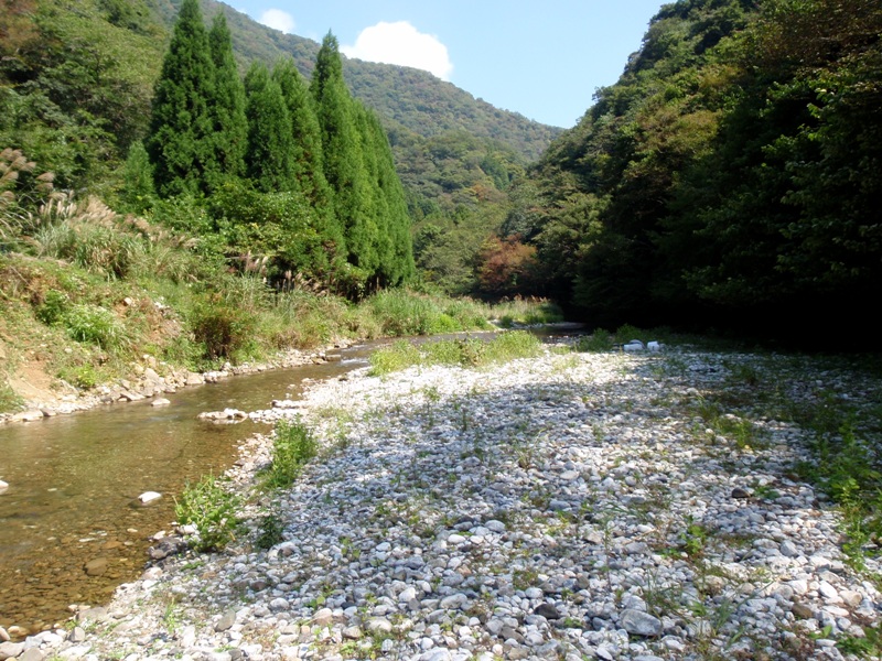 芹川上流